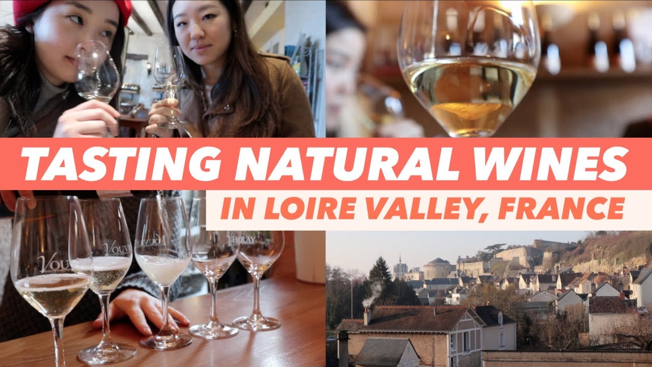 Wine Tasting in France 🍷 | Perfect Day Trip from Paris