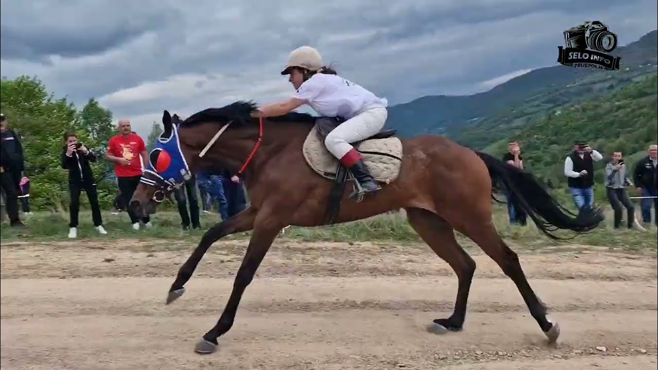 Trka konja Boretino brdo 2024(Rasna grla od tri grla na cilj stiglo grlo vlasništvo porodice Planić)