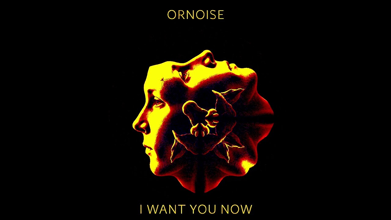 Ornoise -  i want you now