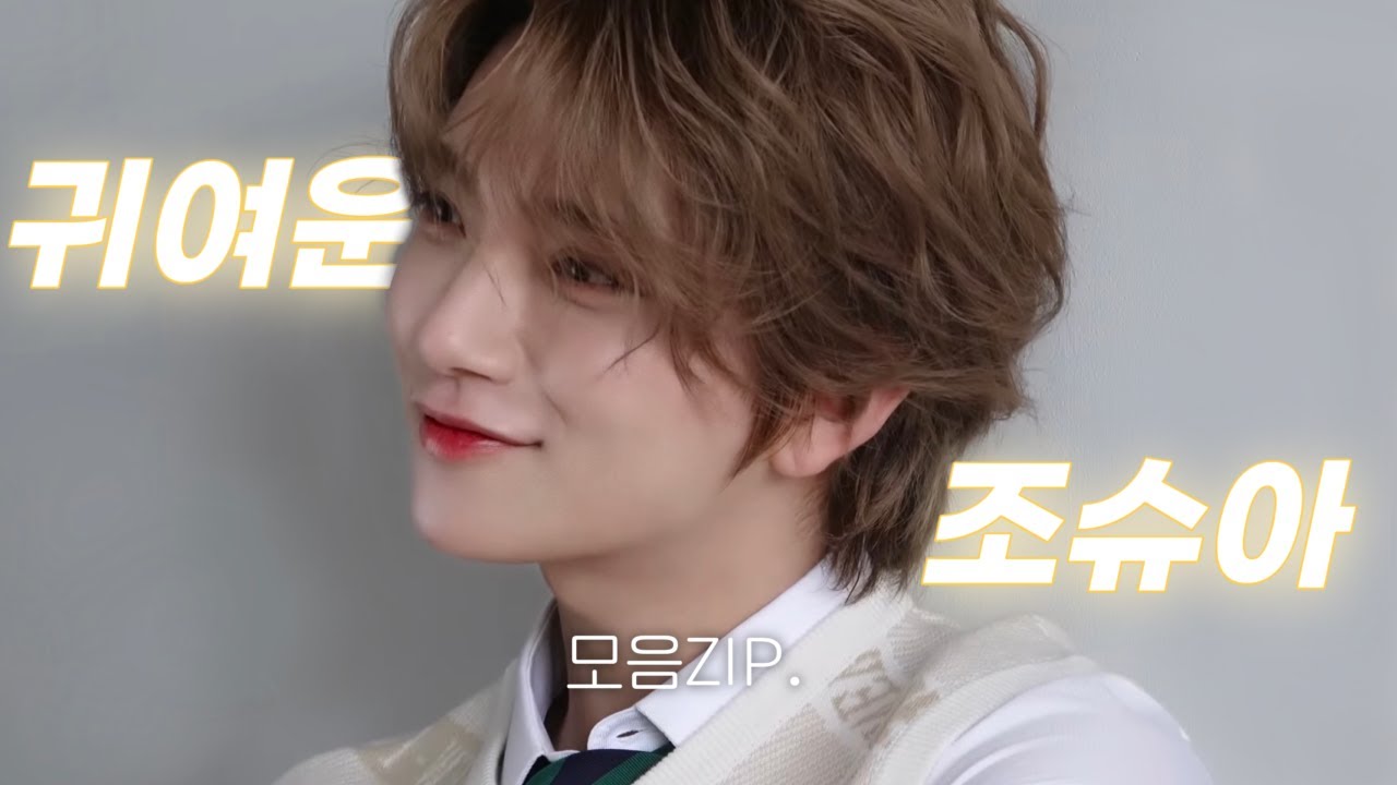 [세븐틴/조슈아] 가만히 있어도 귀여운 조슈아 모음🌼✨
