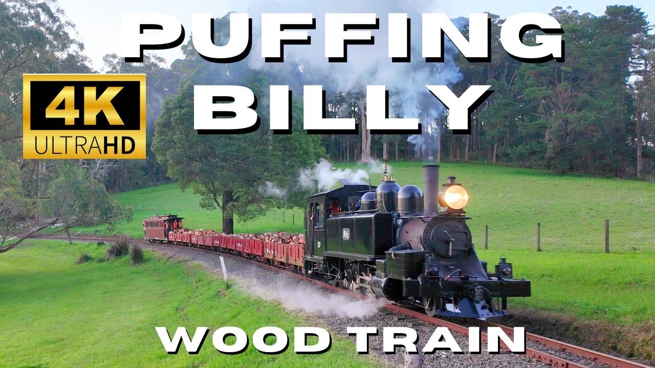 Puffing Billy Railway's Wood Train! 4K 8A 12/11/2025