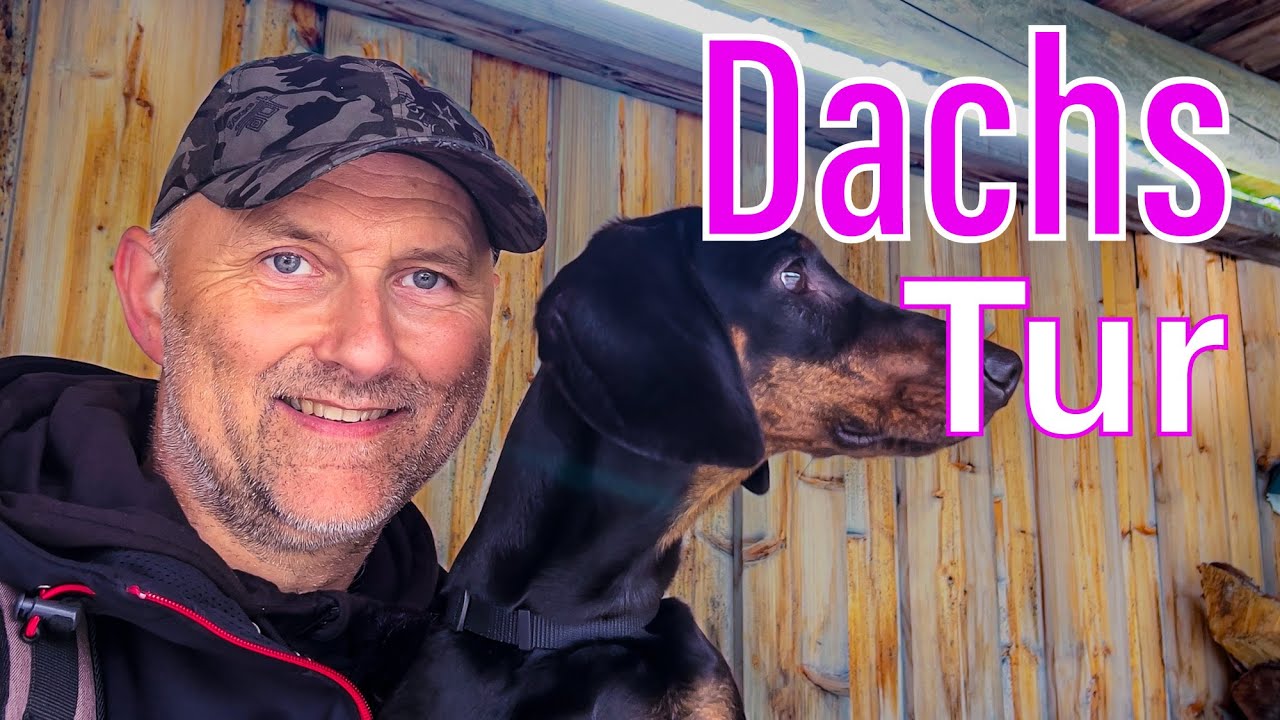 Knerten på dagstur: Liten Dachs på eventyr