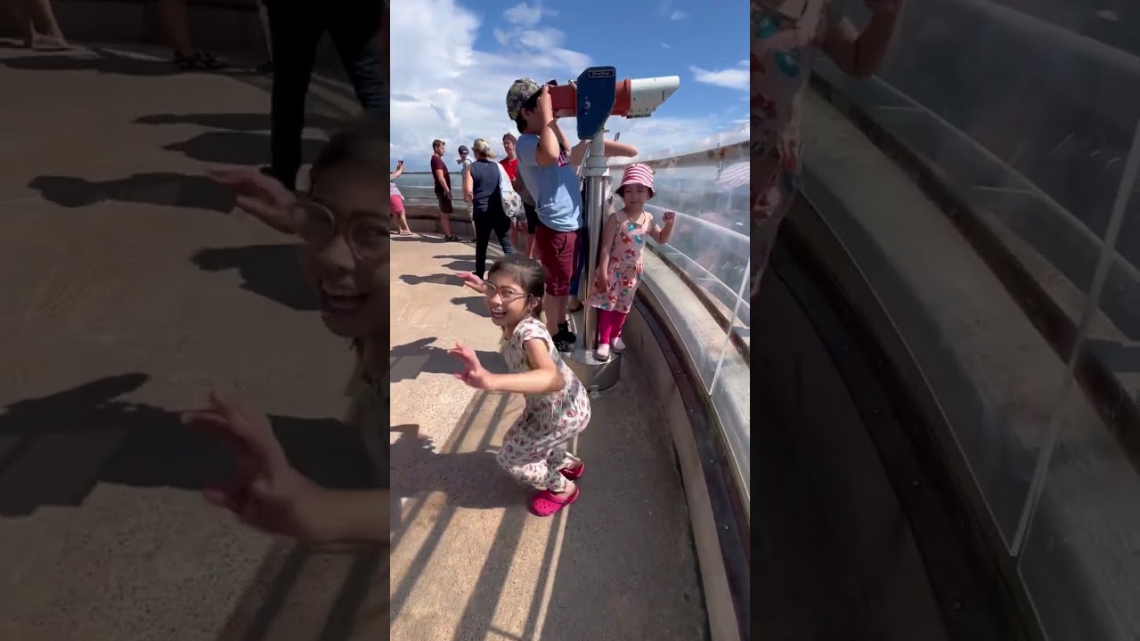 Funtimes in HANKO BEACH #beach  #viralvideo #summer #swimming #holidays