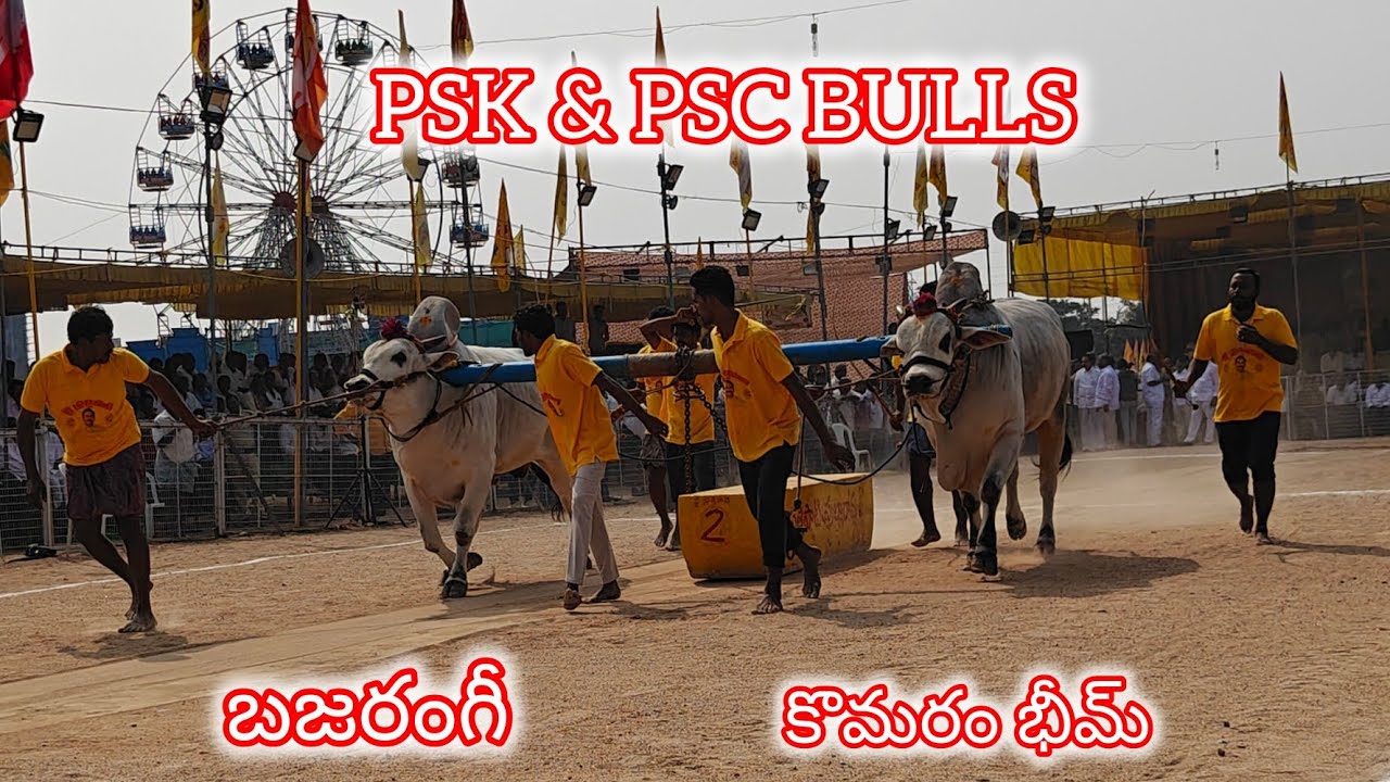 చిలకలూరిపేట జూనియర్స్ 1.పుచ్చకాయల శేషాద్రి చౌదరి, మద్దిరాల ముప్పాళ్ళ,ప్రకాశం జిల్లా...