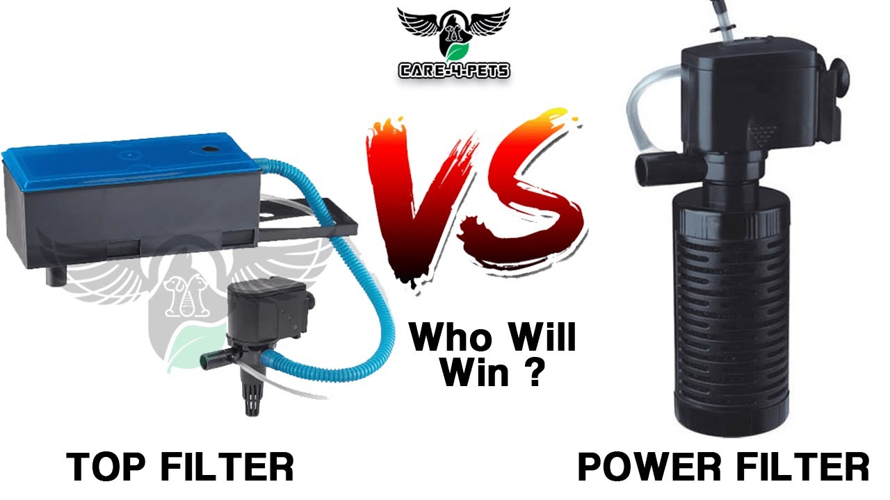 Top Filter VS Power Filter | Find Out Which Is Best For Your Aquarium | Secrets OF FIlter Revealed |