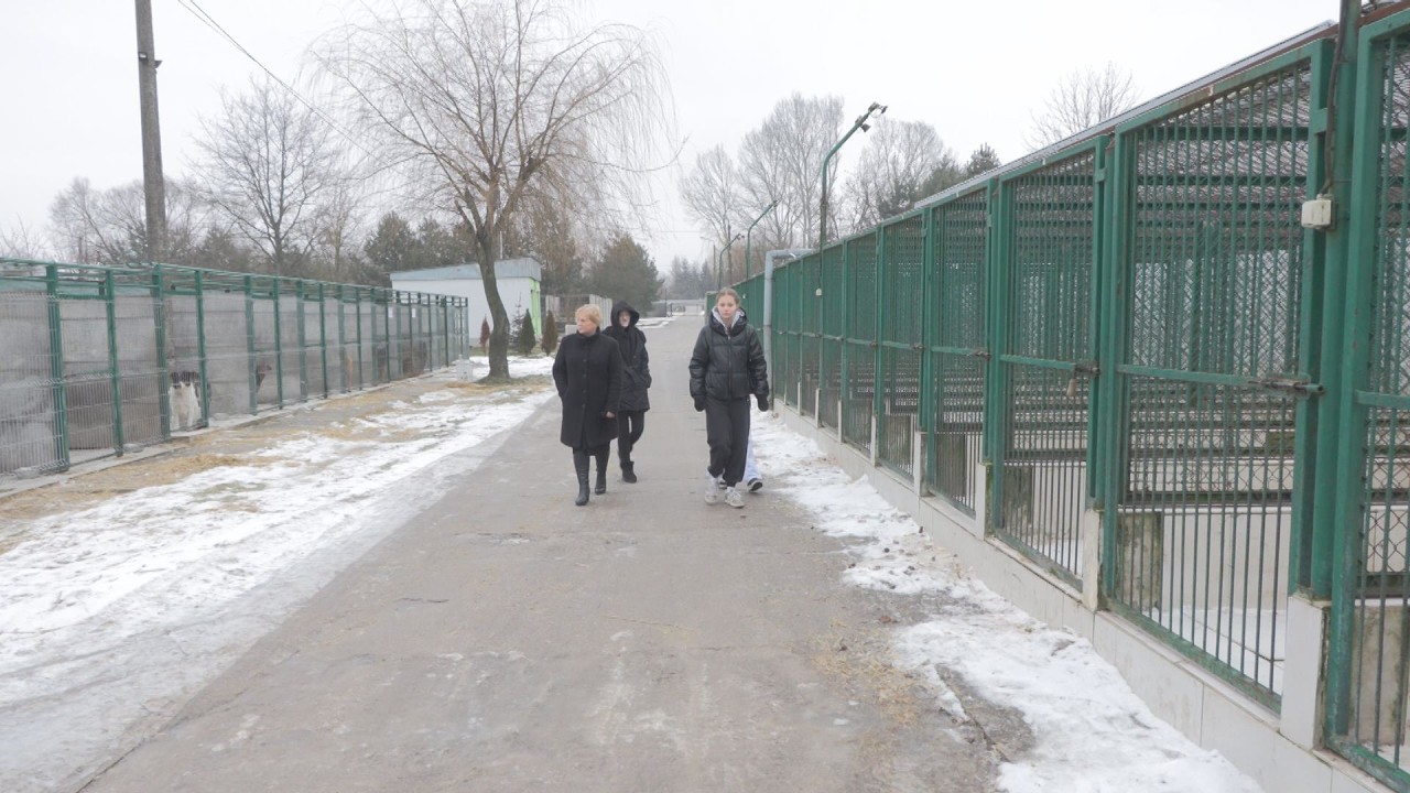 TKB - Dla dobra zwierząt - 11.02.2026