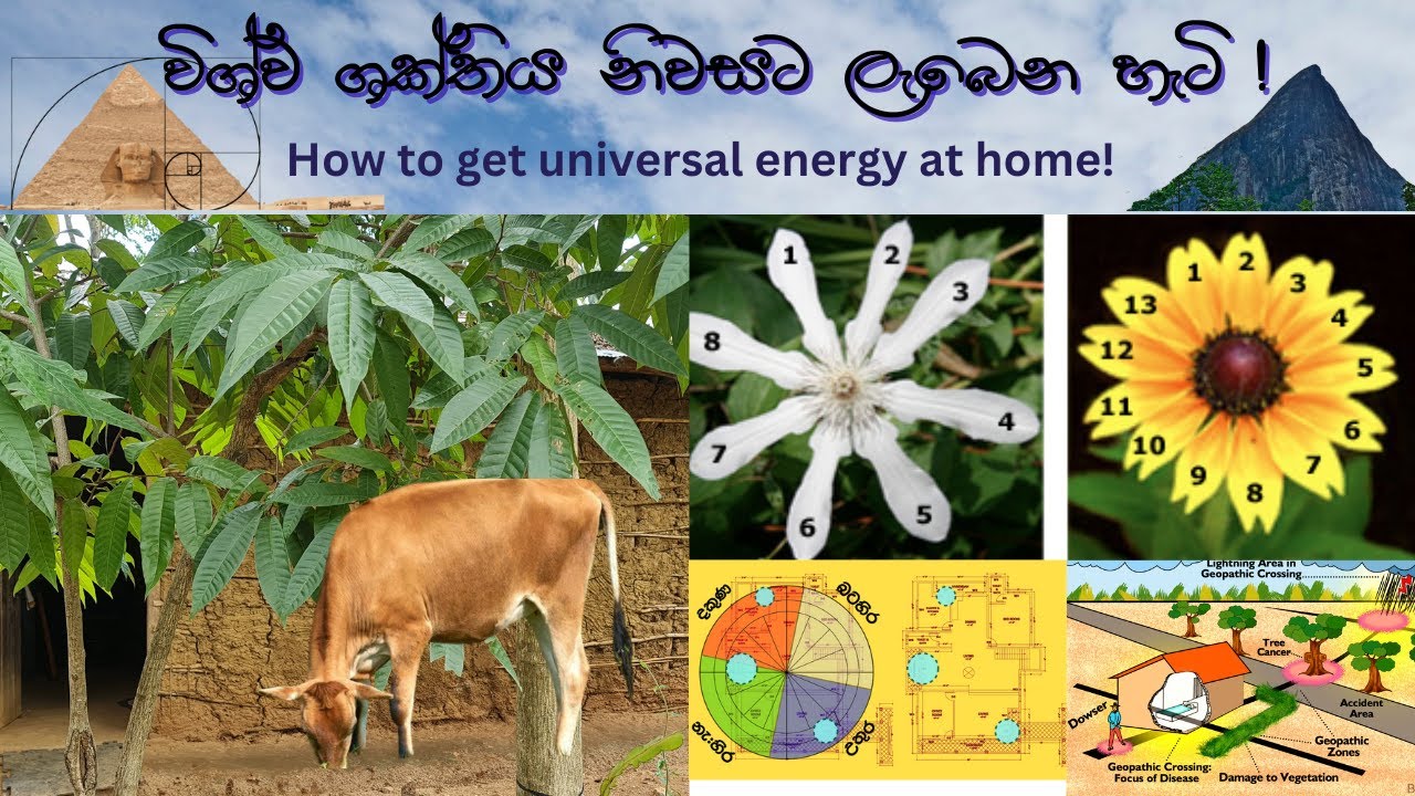 Ape Gedara 264 විශ්ව ශක්තිය නිවසට ලැබෙන හැටි ! How to get universal energy at home!