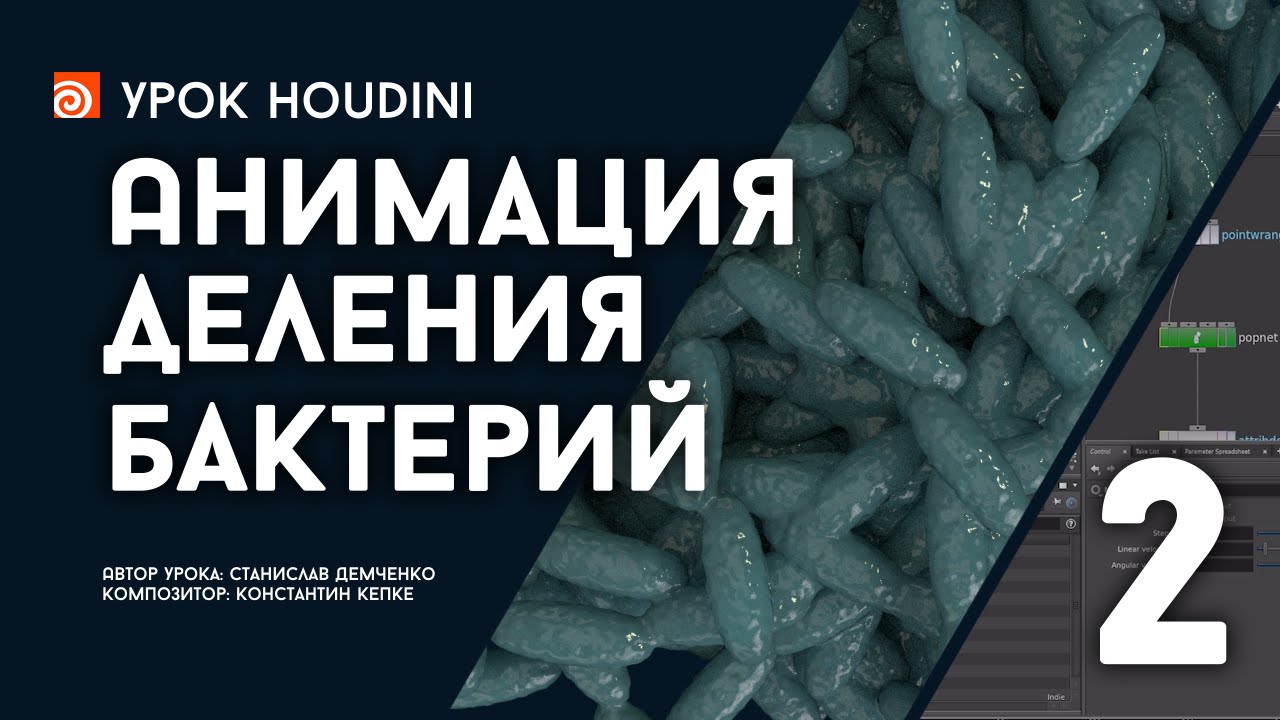 Урок Houdini “Анимация деления бактерий - Часть 2” (RUS)