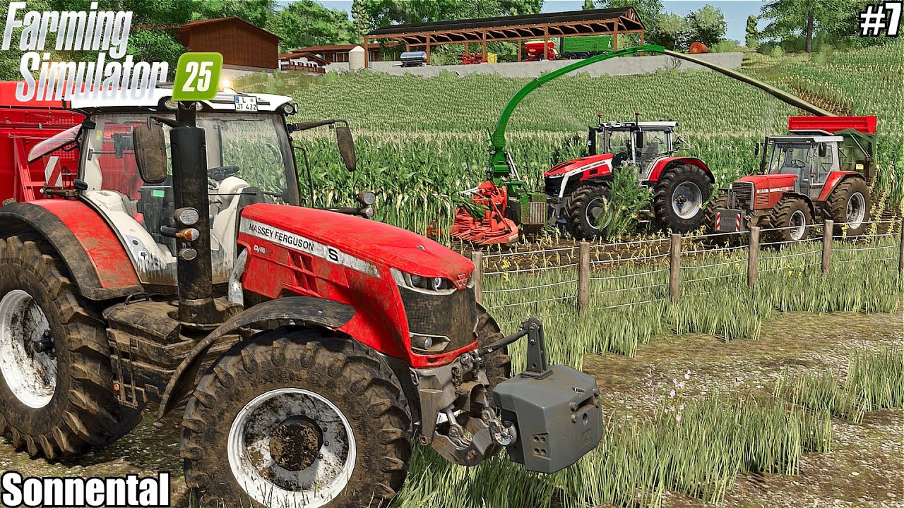 HARVESTING MAIZE SILAGE and TRANSPORTING BALES│Sonnental│FS 25│7