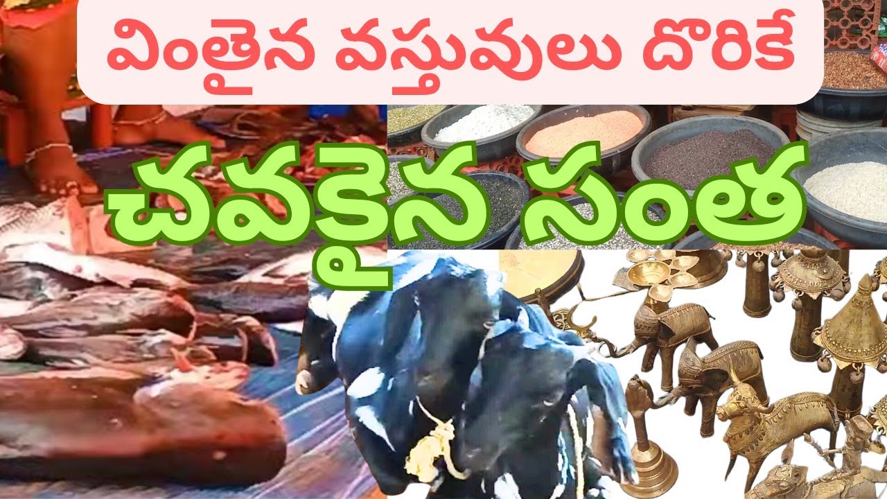 tribal santha in telugu | Wednesday market