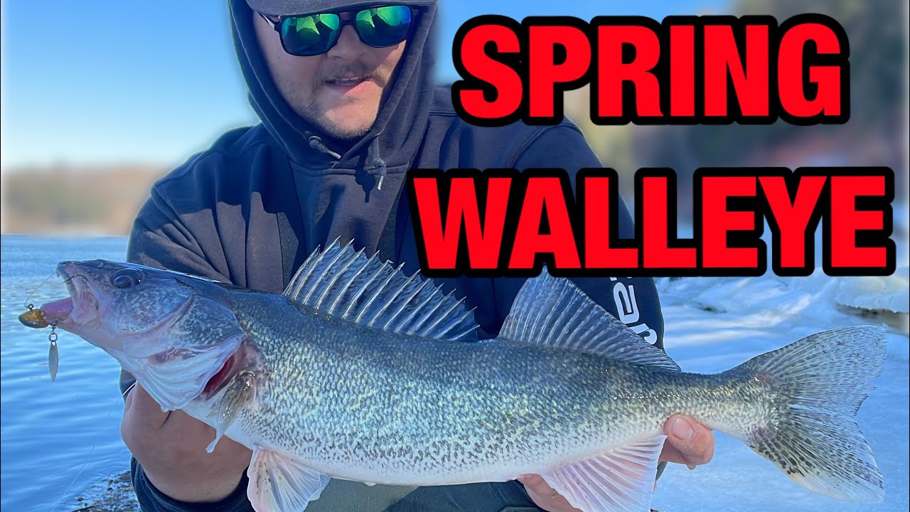 Spring Fishing for North Saskatchewan River Walleye!