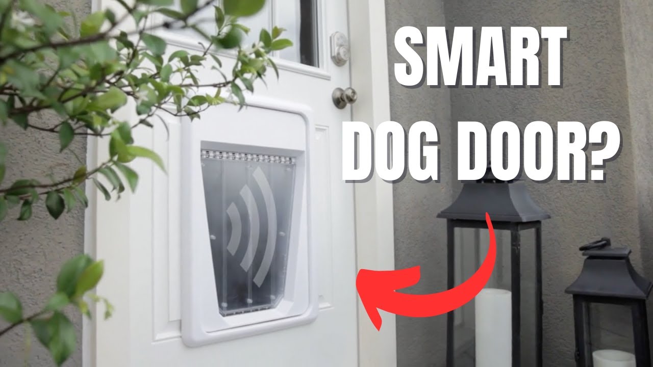 Your DOG Wants This SMART HOME Tech!