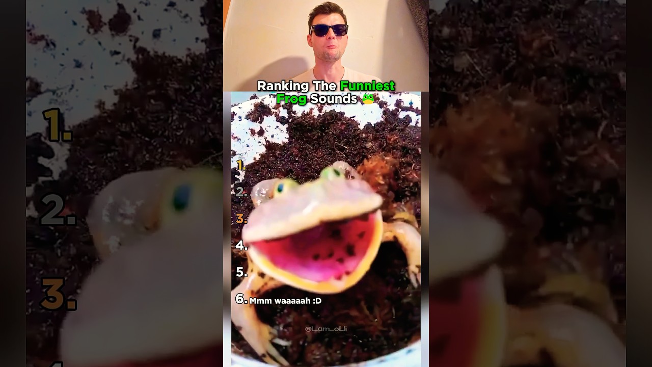 Top 6 Frog Sounds That Made Us Laugh Out Loud!