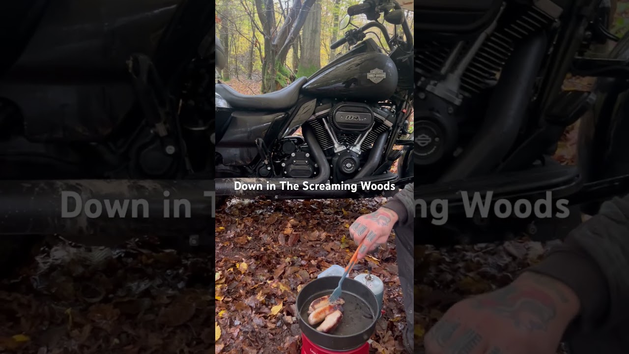 Break in new Trangia cooking breakfast in the woods . #harleydavidson #trangia #camping #motorcycle