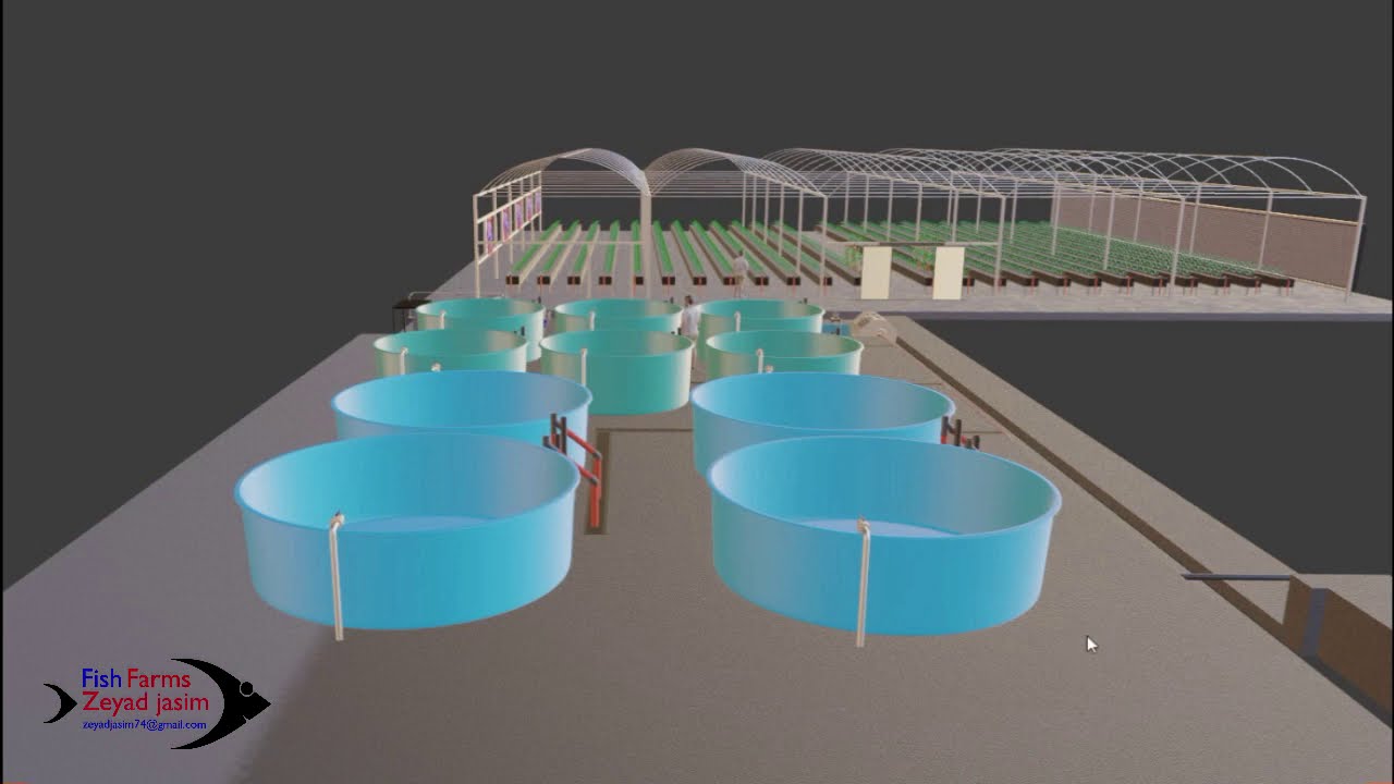 تصميم مزرعة اكوابونيك  لانتاج 50 طن من الطماطم و4600 كغم من الاسماك Aquaponics /1
