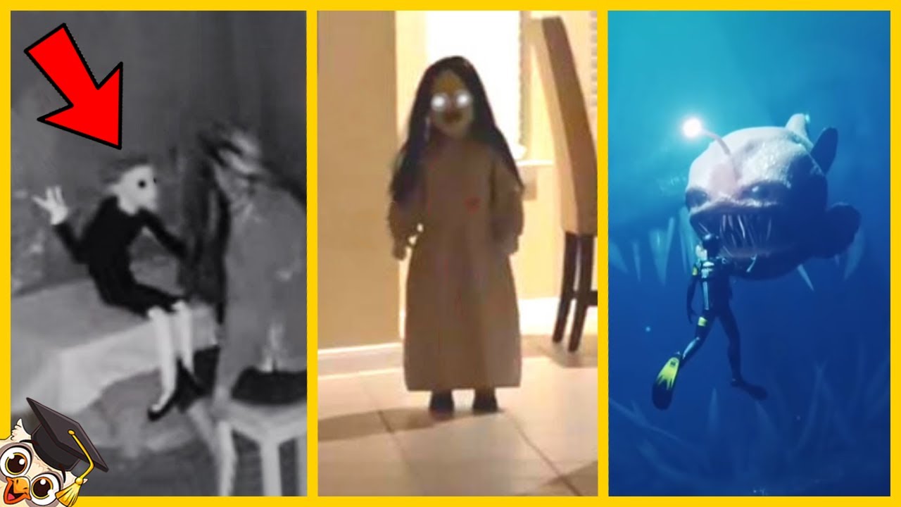 20 V&iacute;deos Do TikTok Que Vale a Pena Assistir Antes de Serem Banidos - Parte 2