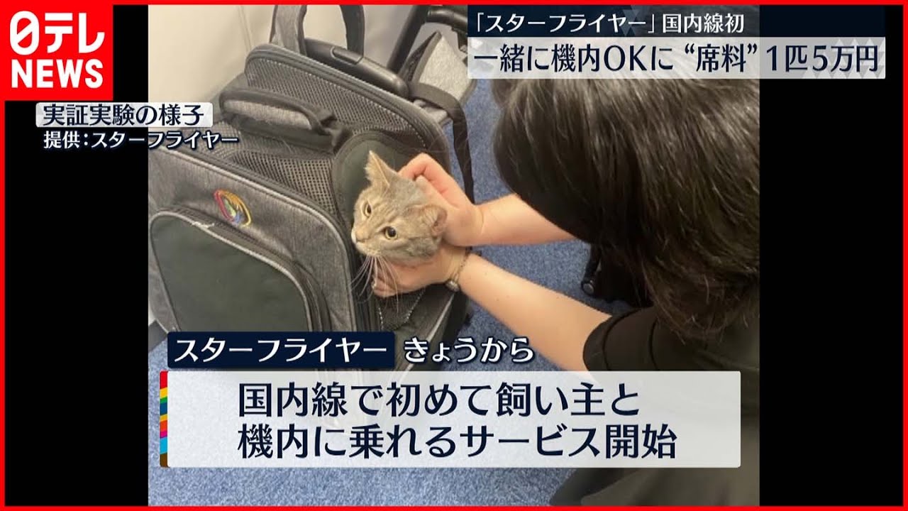 【スターフライヤー】一緒に機内に  “ペット同乗”サービス開始  国内線初