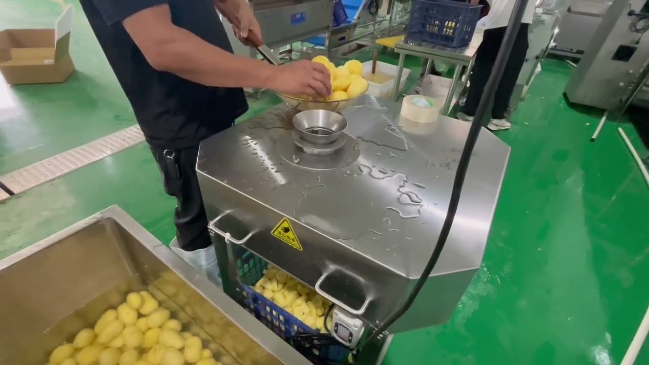 Potato cutting machine (cuts potatoes into 4 pieces)