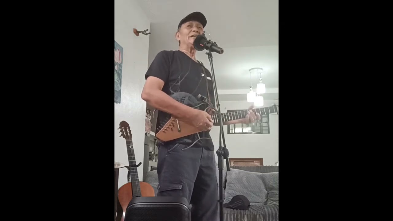 JUST THE WAY YOU ARE (Billy Joel cover)