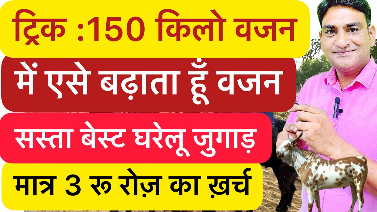 बकरे मोटे नहीं हो रहे , सबकुछ खिला दिया || Goat Farming || Nisar Indian || NLM