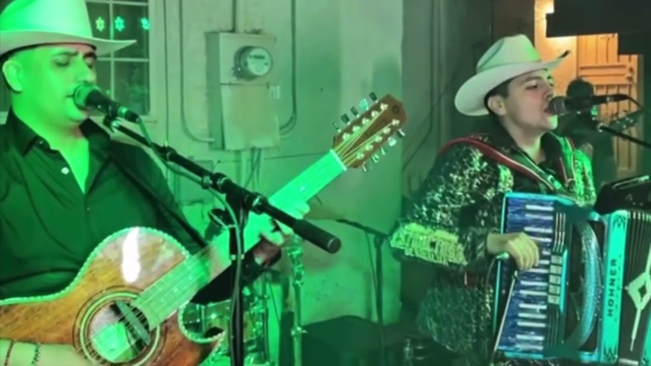 La Madrina  - La Estructura de Sinaloa (En Vivo)