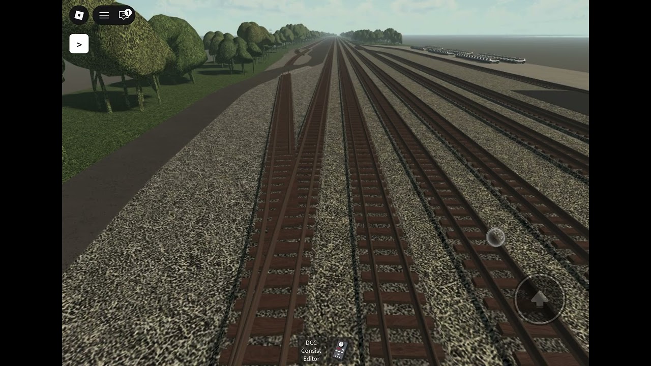 Playing Roblox 