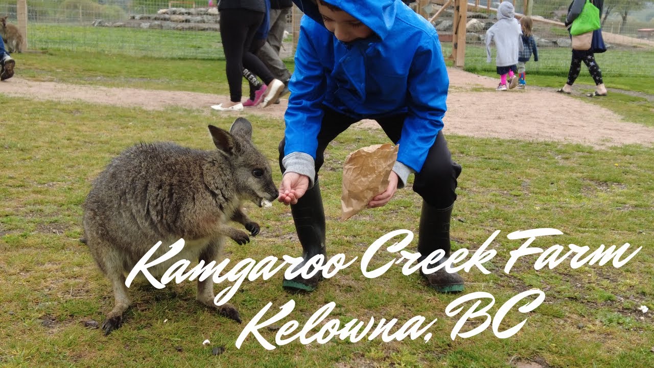 Kangaroo Creek farm Kelowna, BC