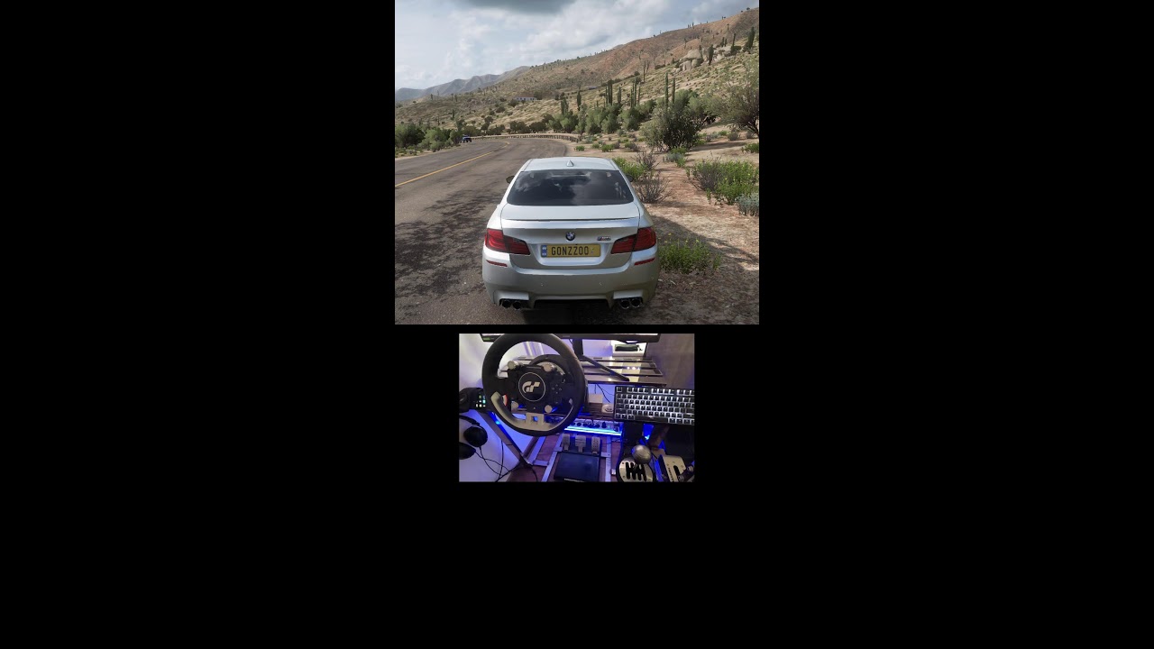 Forza Horizon 5 Live steering wheel