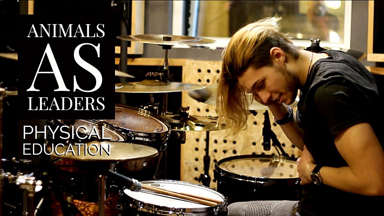 Animals As Leaders - Physical Education drum cover