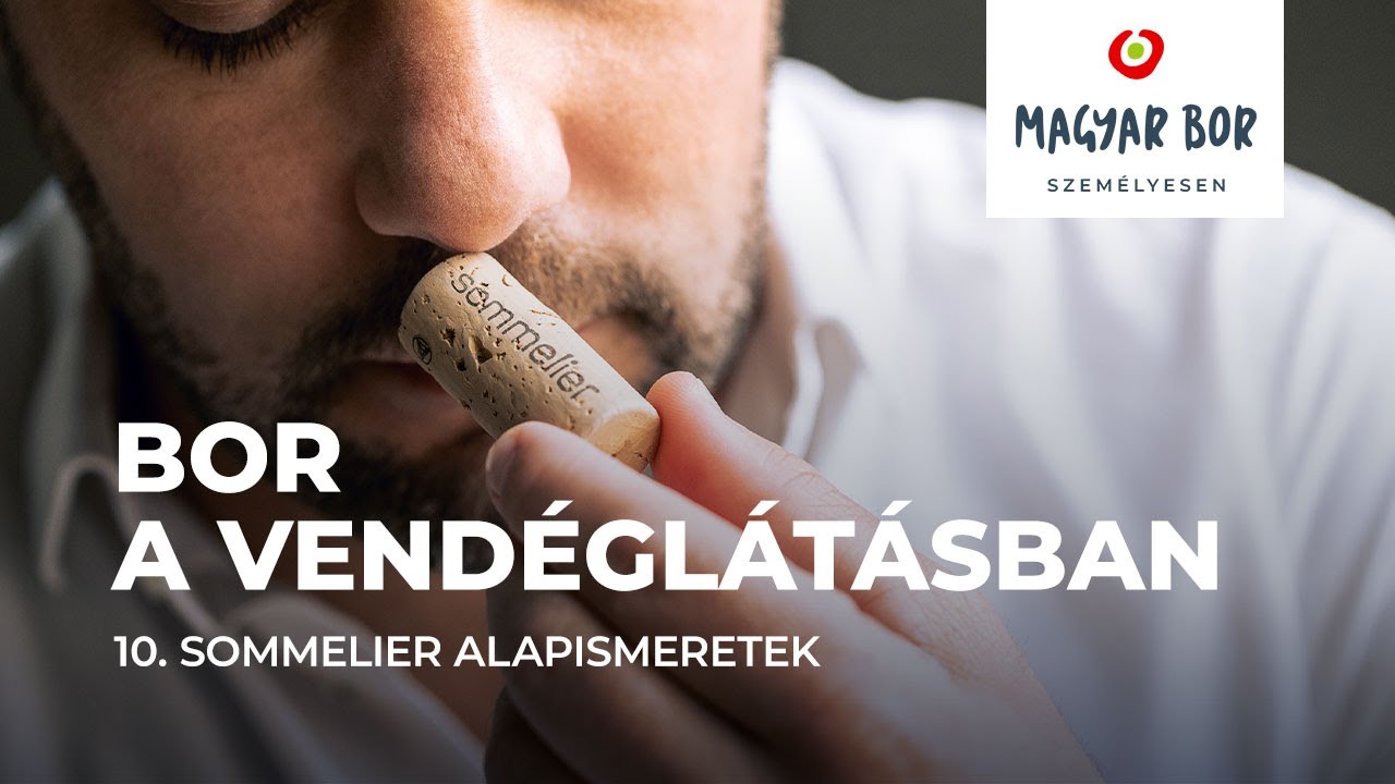 Bor a vendéglátásban | Sommelier alapismeretek