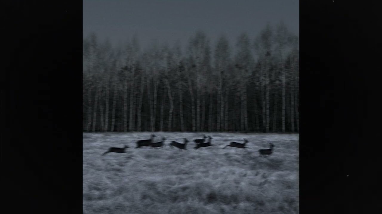 (free) post punk + alternative indie rock type beat ~ 