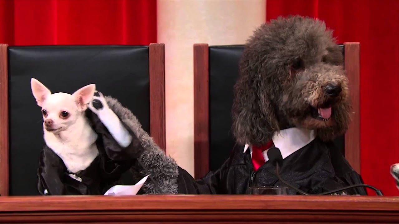 POM Wonderful LLC v. Coca-Cola Co. #RealAnimalsFakePaws #PuppyJustice