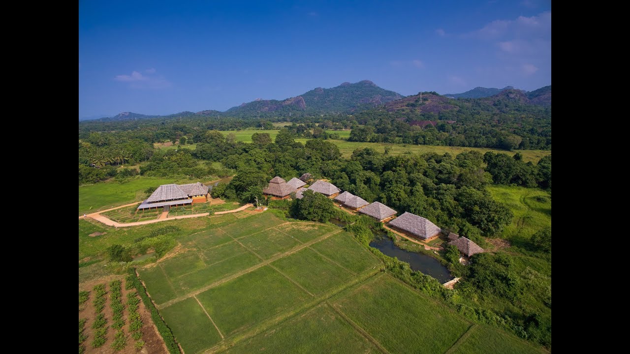 Amuna - Holistic Ayurveda Retreat