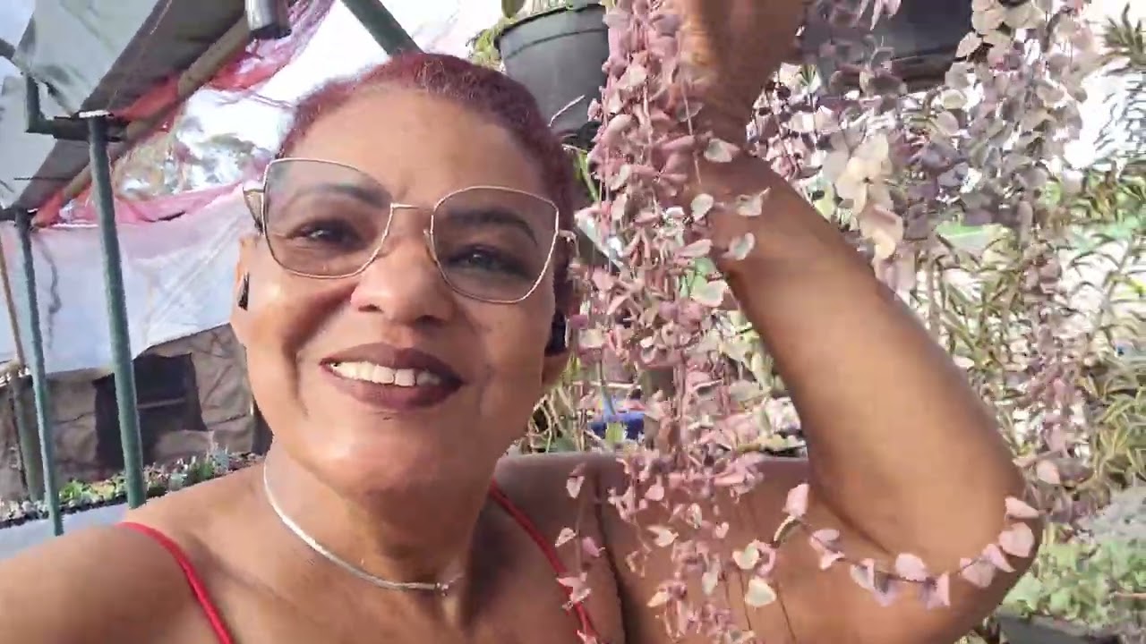 TOUR PELO JARDIM DE SUCULENTAS E MILAGRE MARAVILHOSO