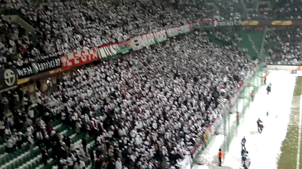 Żyleta - Codziennie niskie ceny