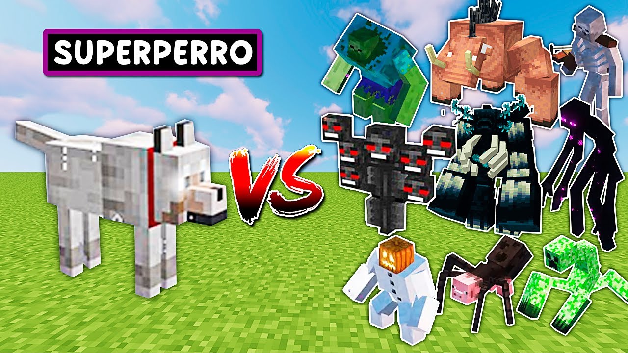 SUPER PERRO VS TODOS LOS JEFES DE MINECRAFT - Videos de minecraft