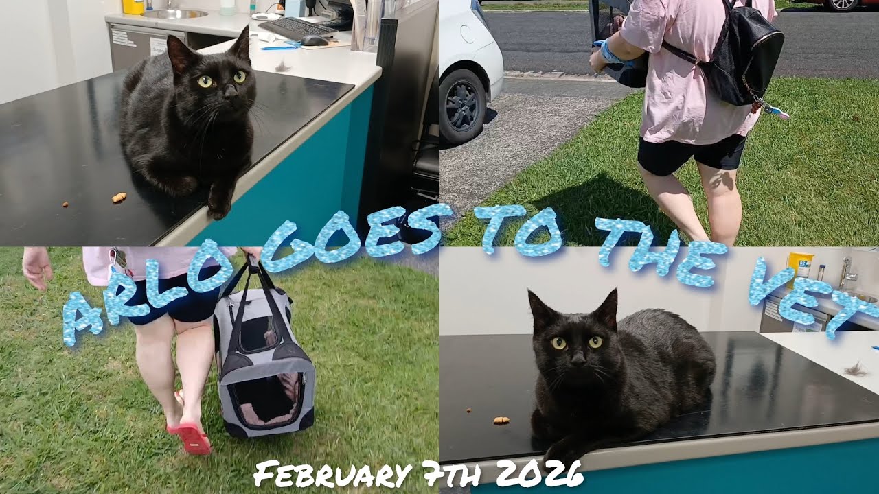 ARLO GOES TO THE VET 
