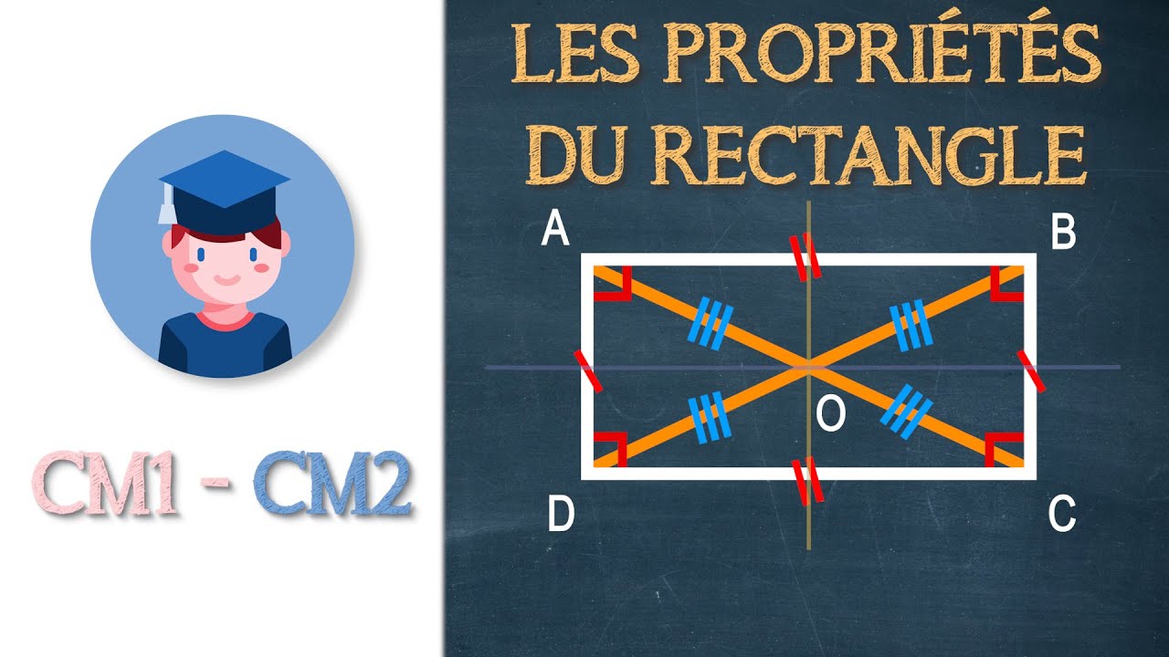 Les propriétés du rectangle - CM1 CM2 - Petits Savants