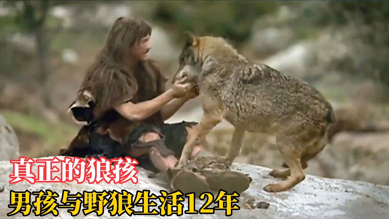这是一个真正的狼孩，男孩7岁时被父母抛弃，在深山中与野狼一起生活12年