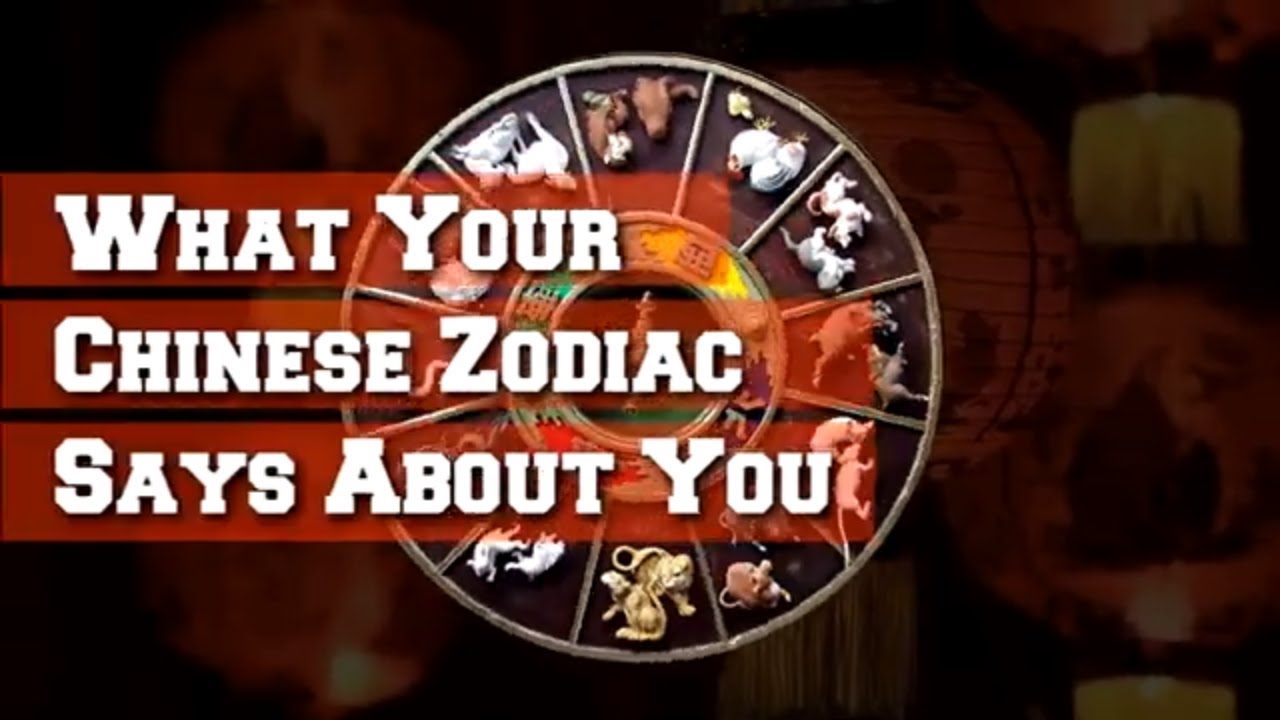 What Your Chinese Zodiac Says About You