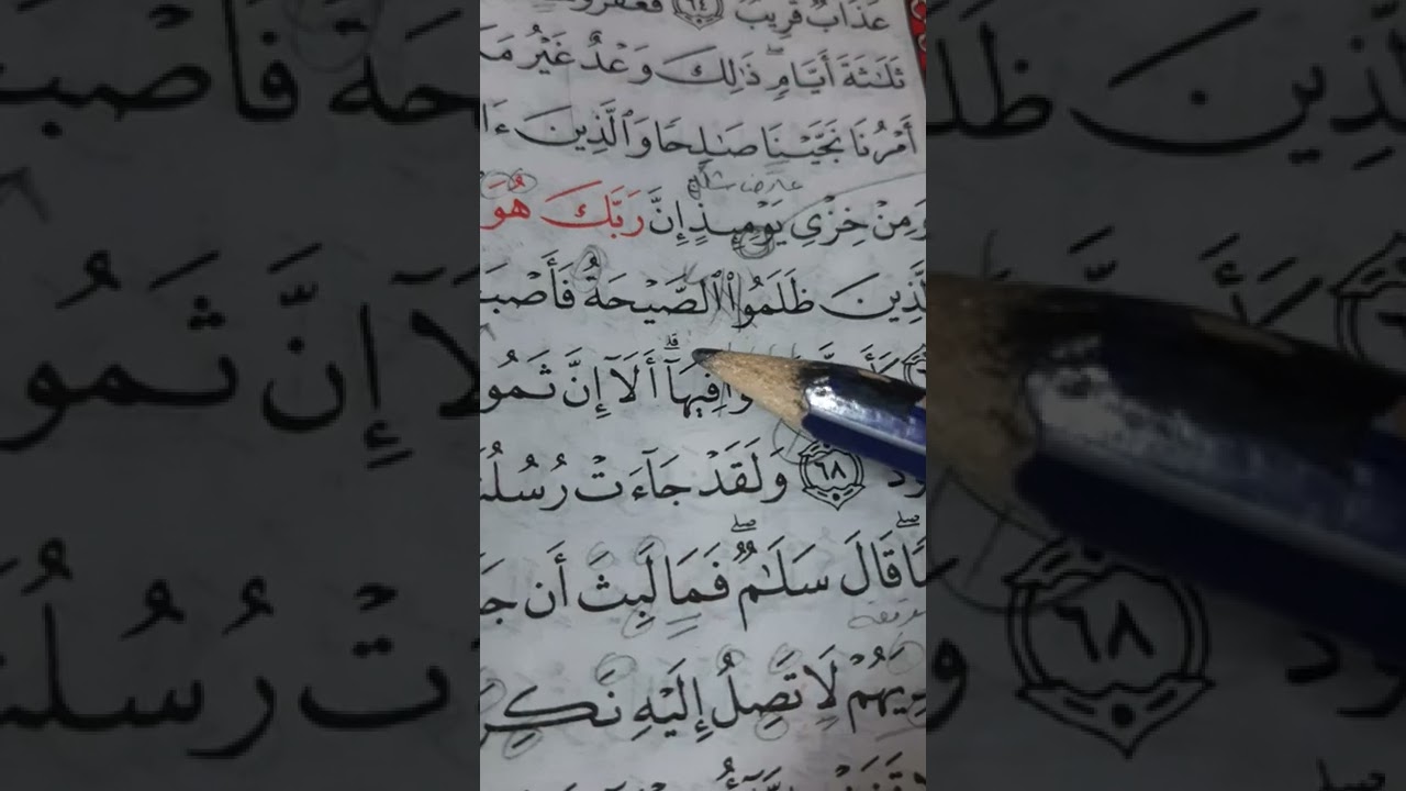 أسئلة إجازة لرواية حفص من سورة هود صفحة ٢٢٩