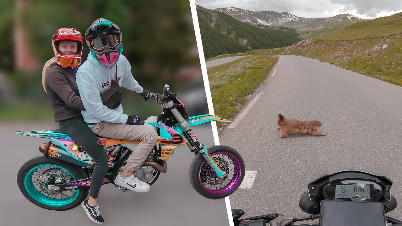 C'était chaud pour la marmotte ! 🥵 / Road trip 2020 #2
