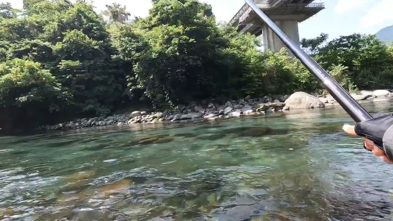 6月20日吉田川上流引き水入れ掛かり！