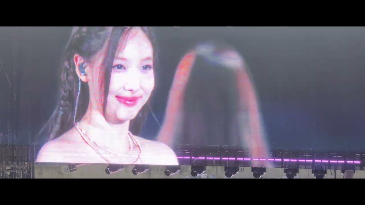 20251123 TWICE 高雄演唱會 應援影片
