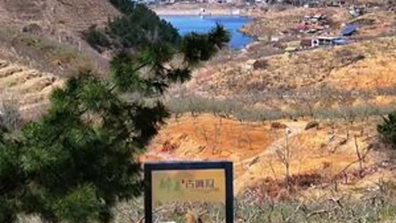 今天的视频带你走进美丽沂蒙古道沟，来体验下山路100弯，这里被誉为神奇花果山，江北小桂林#沂蒙山区 #盘山公路 #山里dou是好风光 #那远山呼唤我拍风景 #内容启发搜索