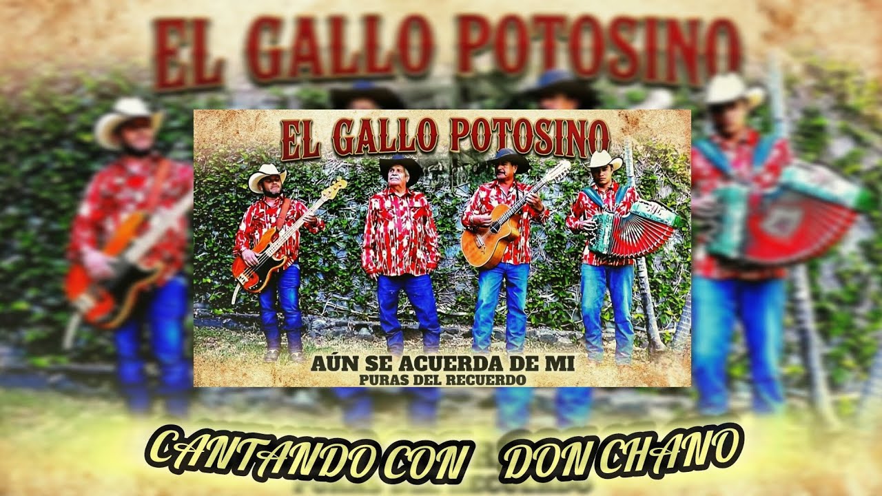 Aún se acuerda de mi - El Gallo Potosíno, Don Chano (video oficial)