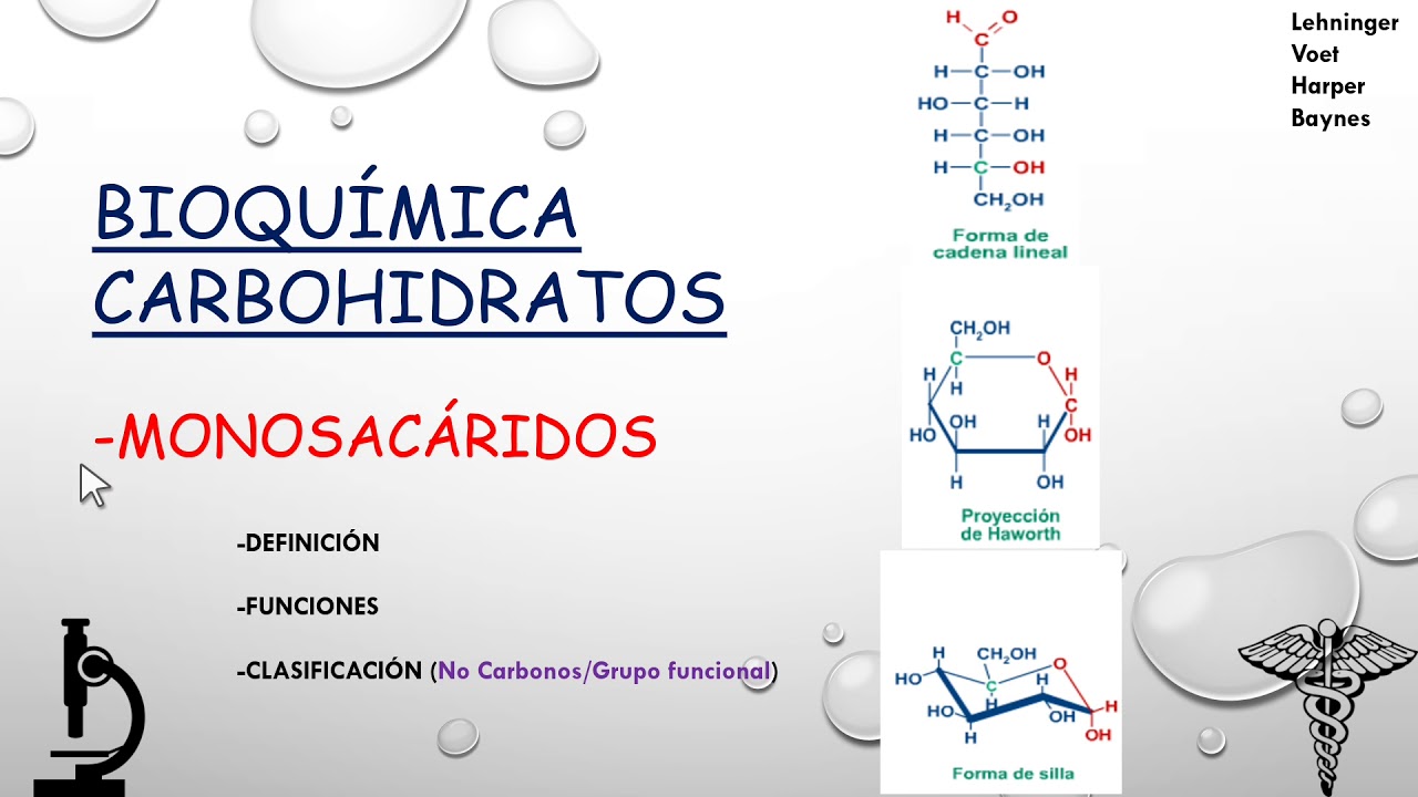 Carbohidratos monosacaridos 1: definición, funciones y clasificación