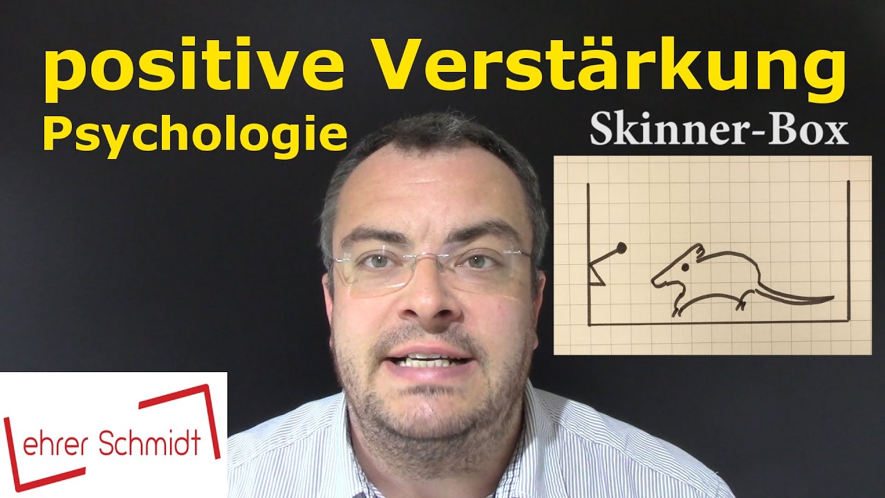positive Verst&auml;rkung | Psychologie | Lehrerschmidt
