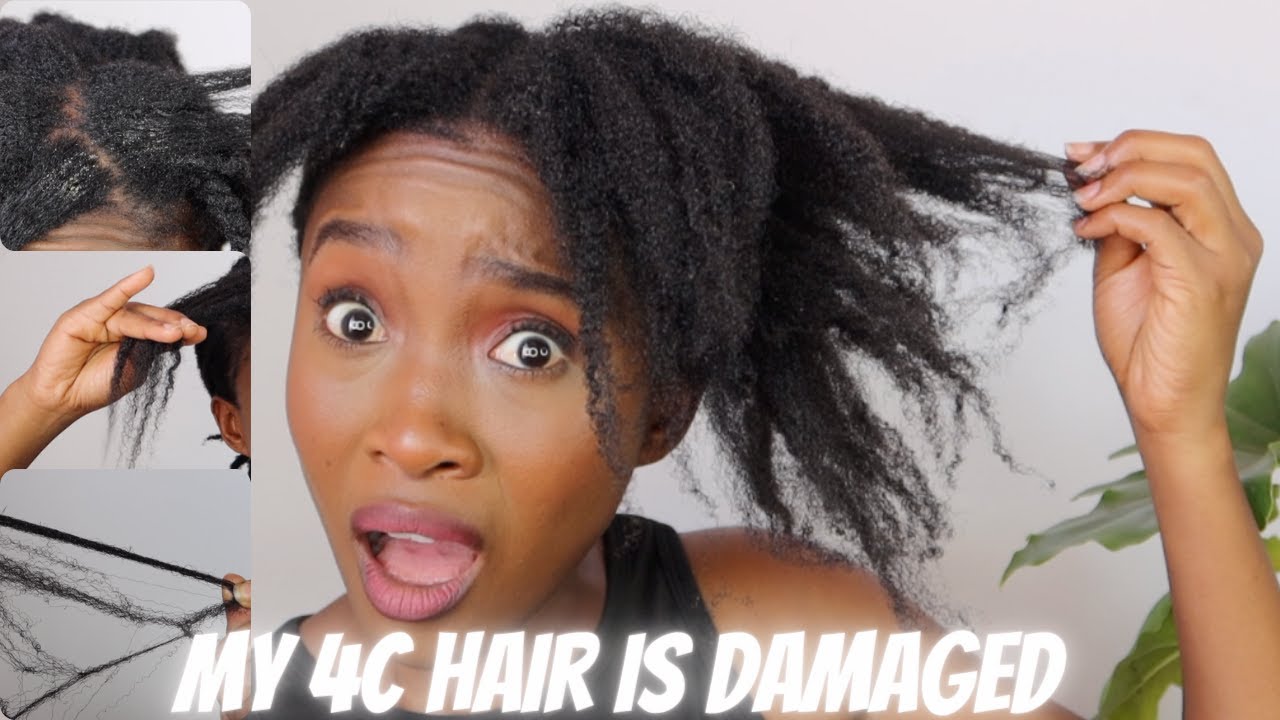 My 4C Hair is Damaged| Thinning Ends, Hair Webbing, Tangles & Shedding| Low Porosity
