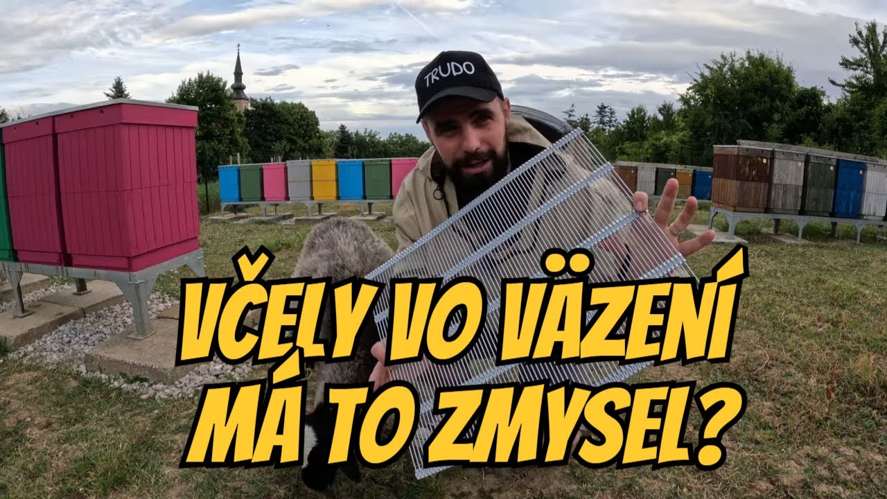 Včely za mrežami? U mňa nie